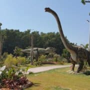 侏罗纪主题公园的高品质机器人仿真恐龙