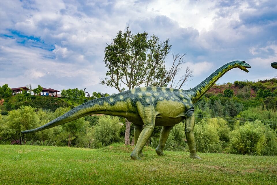 仿真恐龙在临沂恐龙园展览