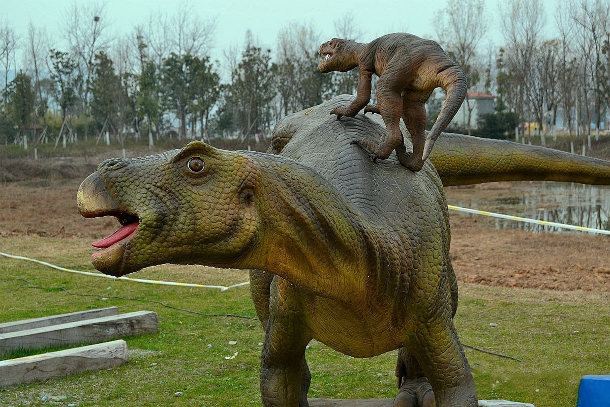 在仿真恐龙公园有户外恐龙挖掘挖掘活动