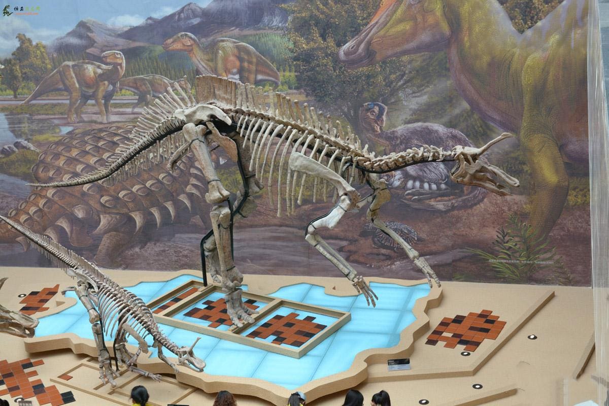 恐龙公园真人大小仿真恐龙骨骼模型