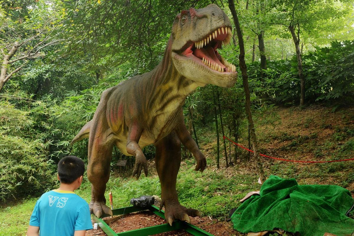 在娱乐公园中遇见仿真恐龙