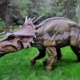 仿真恐龙展览中的罕见恐龙