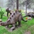 巨大的植食性恐龙梁龙