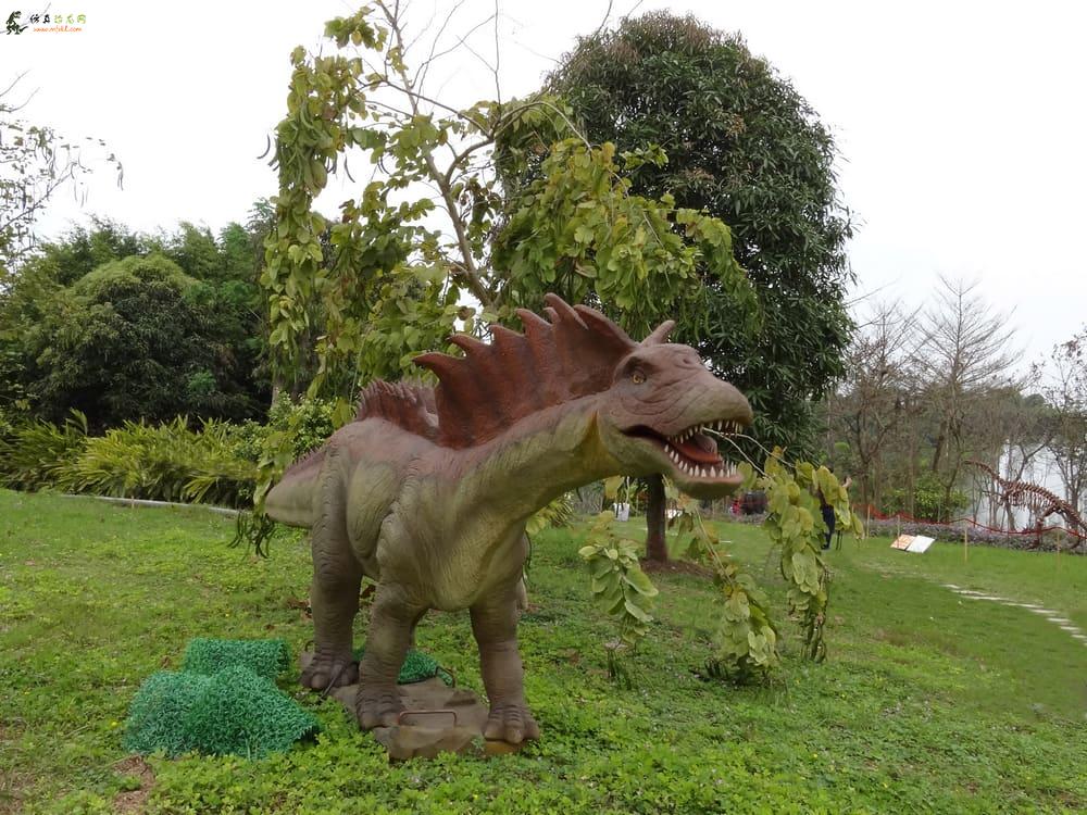 世界最大恐龙骨架巨型汝阳龙