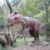 仿真霸王龙–最有名的肉食性恐龙
