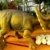 侏罗纪痴谈恐龙灭亡之迷