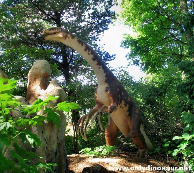 亚洲是壮的恐龙黄河巨龙