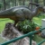 “侏罗纪公​​园”恐龙专家的下一件大事：全息图