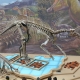 为你提供各种恐龙头骨化石的仿真恐龙制作工厂