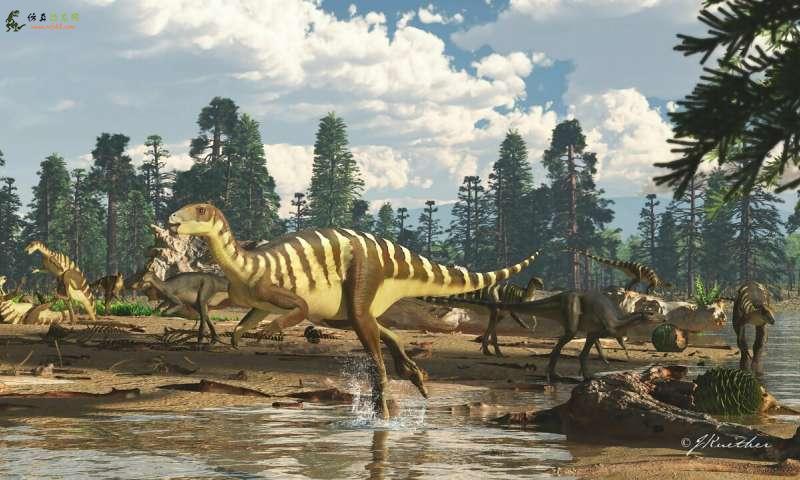 来自古老的澳大利亚 南极裂谷的新袋鼠大小的恐龙