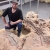 类鳄鱼食肉动物袭击了非洲南部的三叠纪恐龙