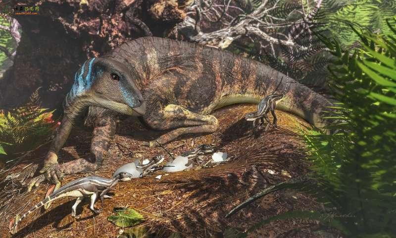 在澳大利亚发现的小恐龙