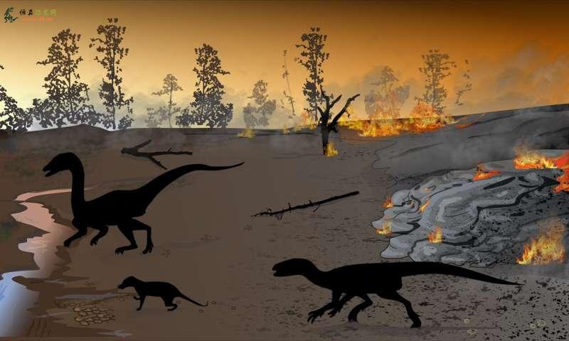 恐龙和其他动物在“火国”留下了痕迹