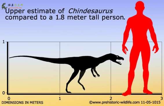 恐龙的崛起与氧气水平的上升有关