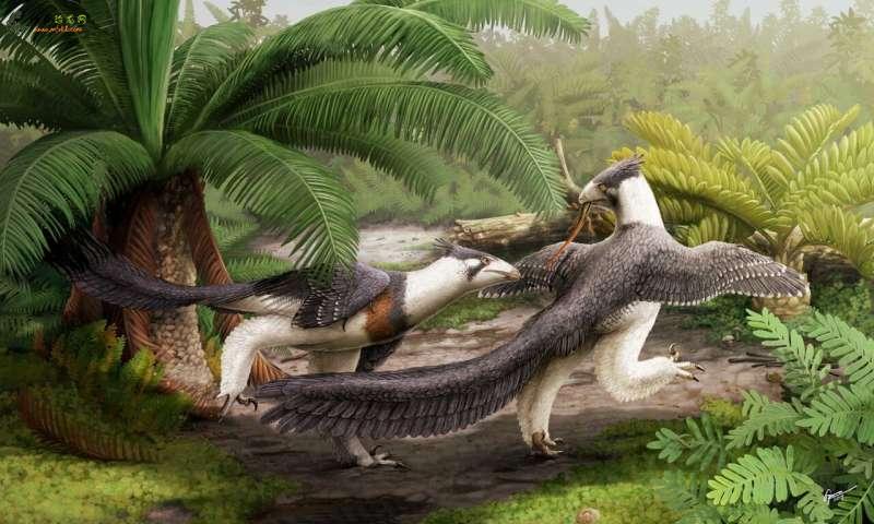 鸟状恐龙是北美出土的最古老的恐龙