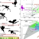 新侏罗纪非禽类兽脚亚目恐龙揭示了恐龙的飞行起源