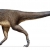 在澳大利亚发现有羽毛的极地恐龙的第一个证据