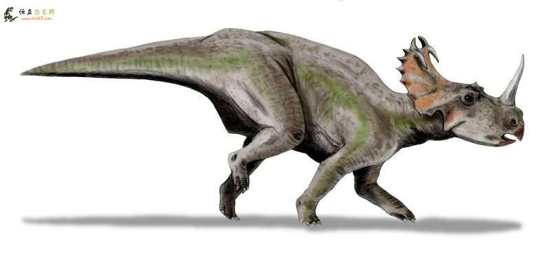 史前恐龙骨骼是微观生活的家园