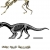 证据恐龙幼年时四肢行走成年后转为双足动物