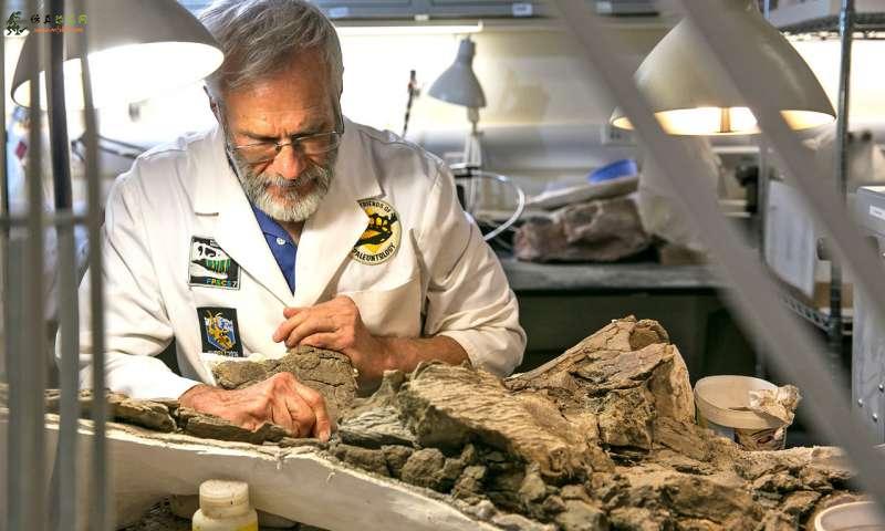 犹他州的新发现装甲恐龙揭示了有趣的家族历史