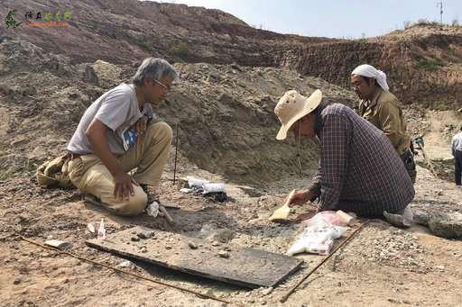 中国建筑热潮发现埋藏的恐龙，成为明星