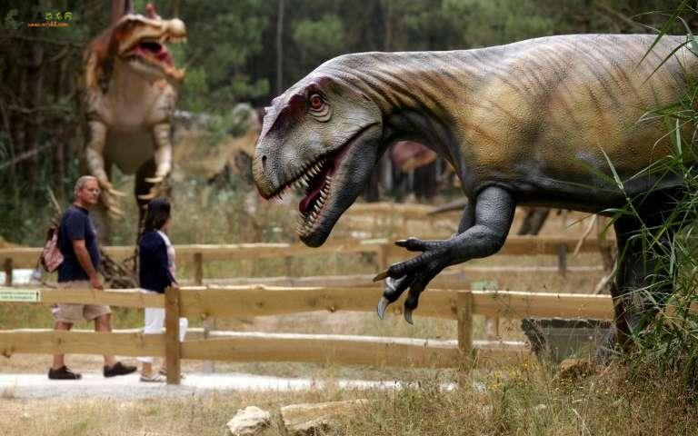 种植仿真恐龙模拟公园的晚餐