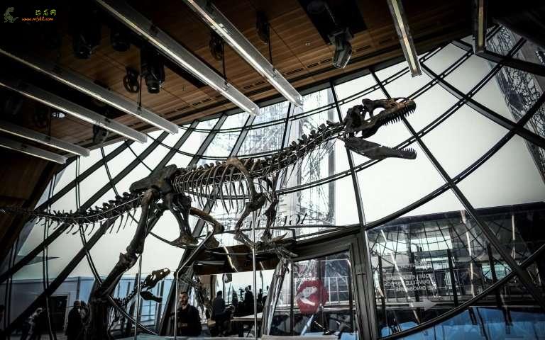 罕见的恐龙骨架售价为200万欧元