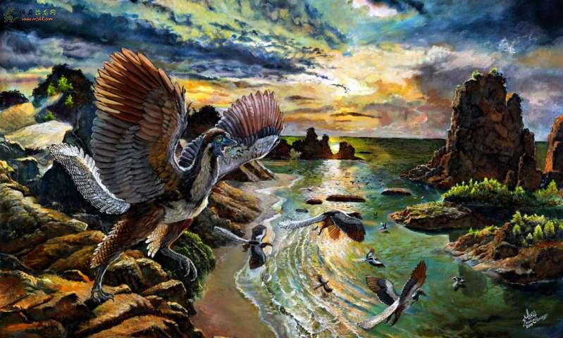 我们如何发现恐龙和鸟类之间“缺失环节”的新物种