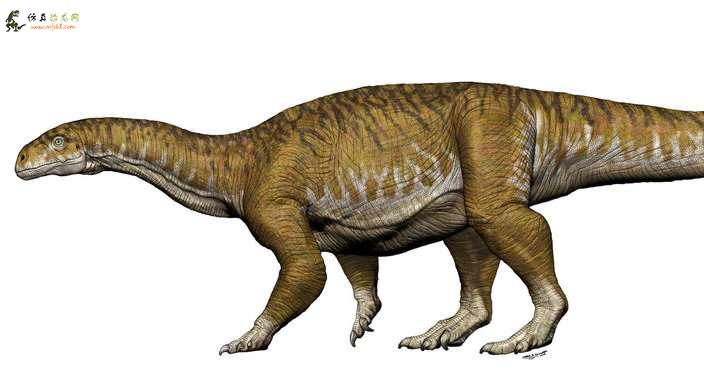 巨型恐龙骨骼让古生物学家重新思考三叠纪
