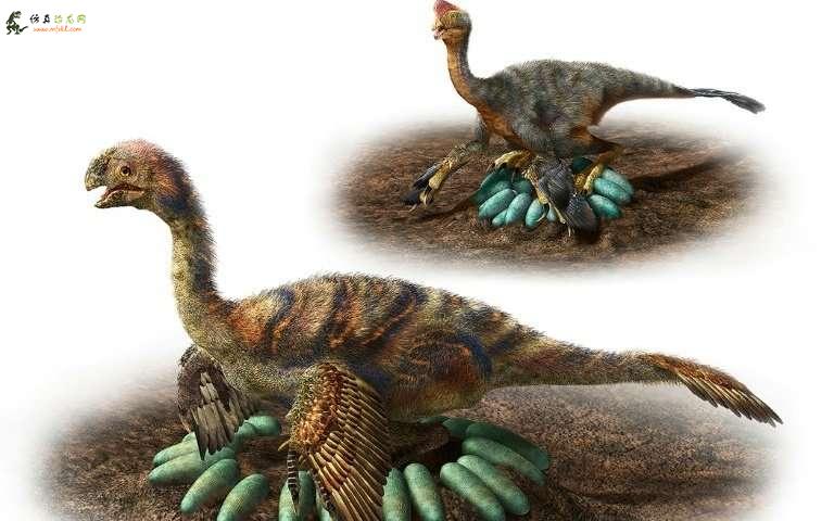 一吨重的恐龙如何孵化它的卵