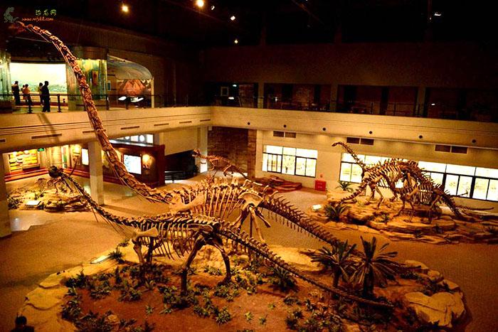 自贡恐龙博物馆有哪些经典的恐龙化石骨架