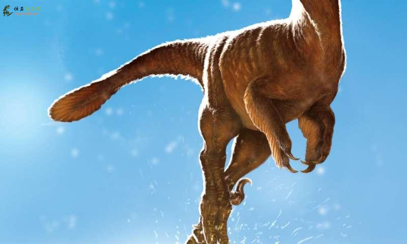 研究说明恐龙臀部发现揭开了物种之谜