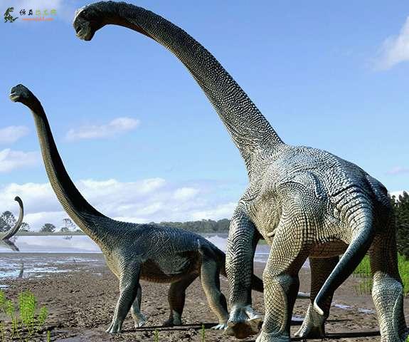 昆士兰内陆地区的恐龙发现