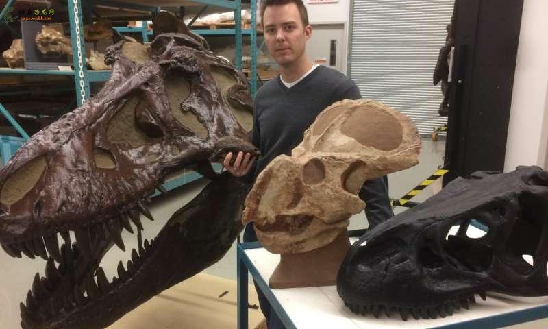 科学家挑战恐龙之间性别差异的证据