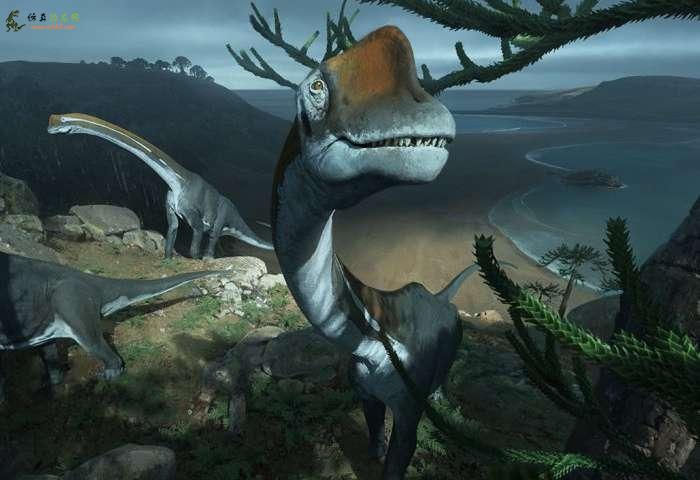 法国腕龙恐龙的最早亲属