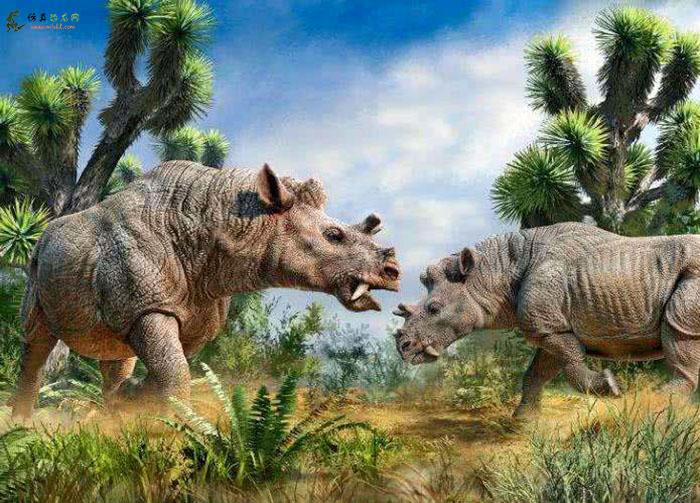 仿真史前动物比犀牛还奇怪的尤因它兽模型