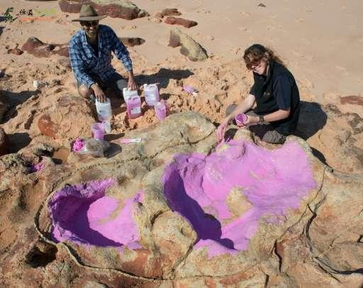 在澳大利亚发现了“无与伦比”的恐龙足迹