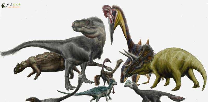 谈论一下为什么有那么多恐龙种类