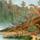 地球学家扩大早期恐龙的规模发现令人惊讶的变化