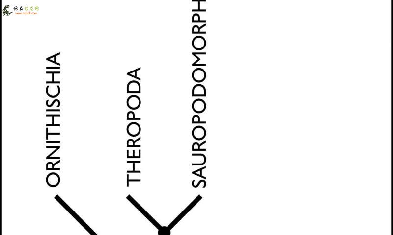 新研究动摇了恐龙家谱的根源