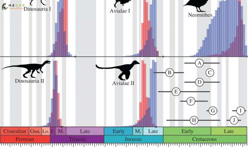 恐龙树图表明它们的出现比想象的要早2000万年
