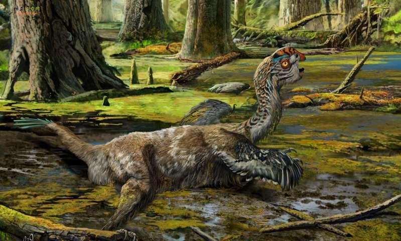 恐龙的发现为动物进化的最后一幕提供了启示