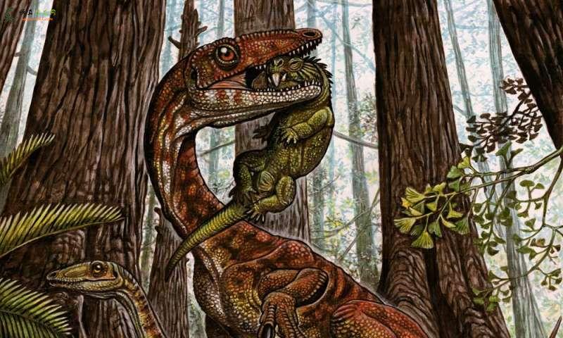 新的化石证据表明，恐龙的崛起“是渐进的”